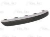 BLIC 5513-00-5537922P Trim/Protective Strip, bumper